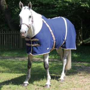 http://www.equisport.fr/1030-1949-thickbox/chemise-polaire-performance-cheval.jpg