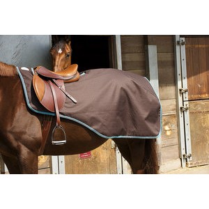 http://www.equisport.fr/568-1035-thickbox/-couvre-reins-tyrex-1200-d-double-polaire.jpg