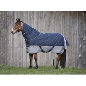 http://www.equisport.fr/867-1658-thickbox/couverture-equi-theme-tyrex-600-d-impermeable.jpg