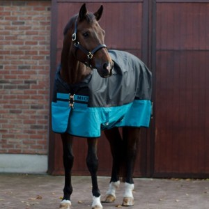 http://www.equisport.fr/871-2578-thickbox/chemise-impermeable-mio-horseware.jpg