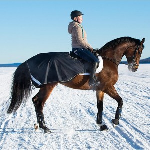 http://www.equisport.fr/880-1684-thickbox/amigo-3-in1-competition-sheet-coure-reins.jpg