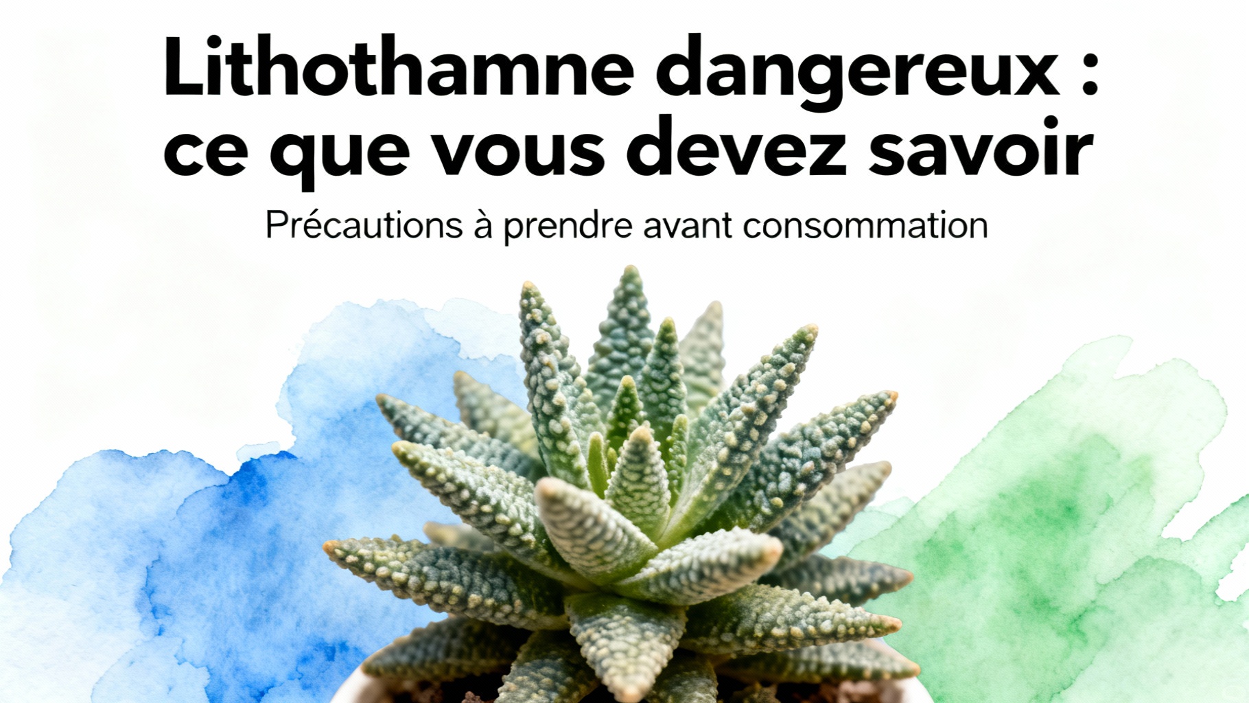 Précautions à prendre avant consommation